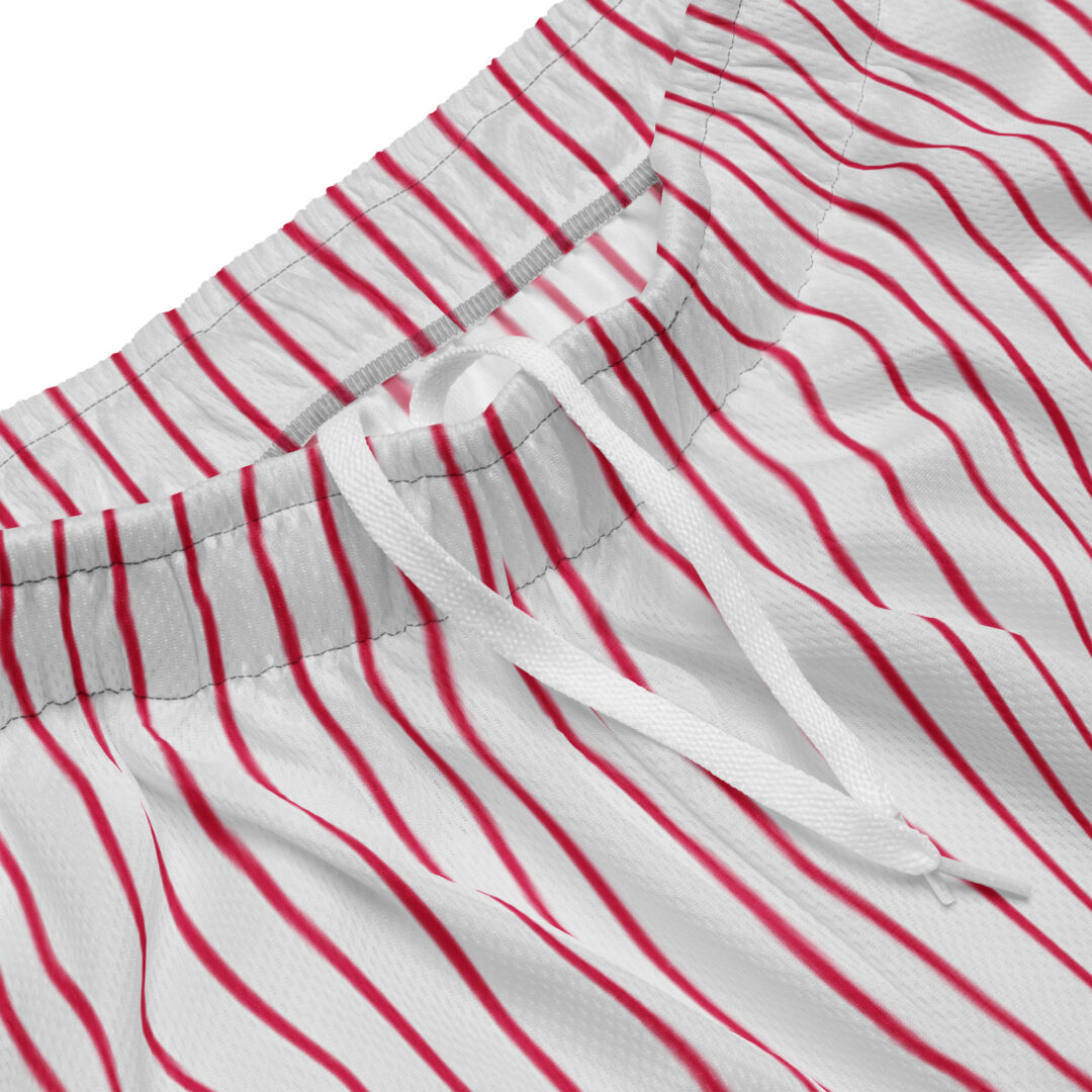 Daily Bread ATL Pinstripe Athletic Shorts - Image 11